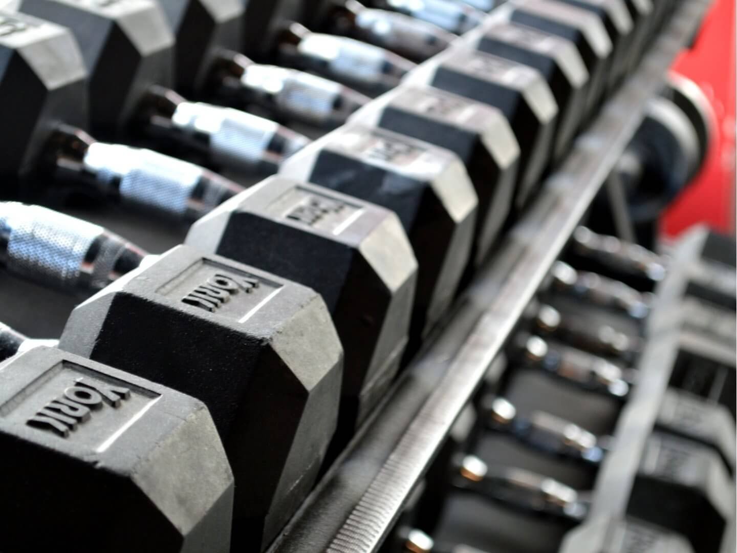 4 af-sport-and-nutricion-entrenamiento-carchuna-recomposicion-corporal-rendimiento-educacion-alimentaria-seguimiento-habitos